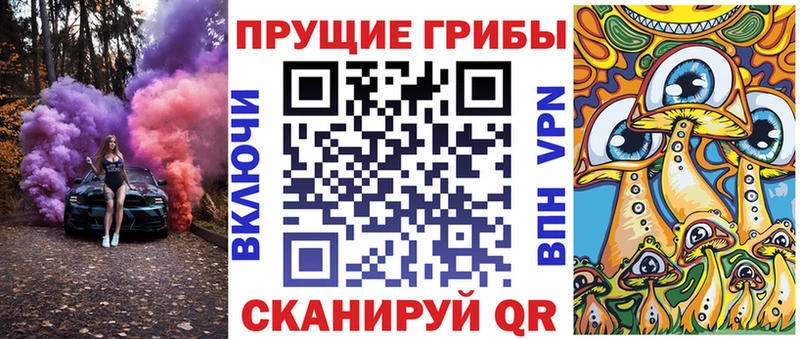 дарнет шоп  Борисоглебск  Галлюциногенные грибы MAGIC MUSHROOMS 